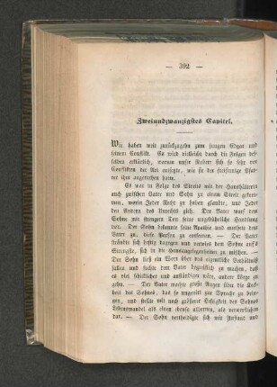 Zweiundzwanzigstes Capitel.