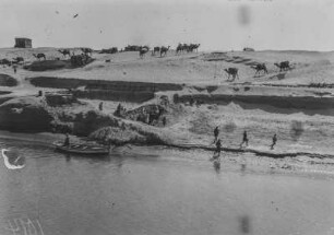 Am Ufer : Kamelgruppen stehen am Ufer des Suezkanals. Direkt am Wasser stehen einige Personen
