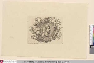 [Ornament-Kartusche; Ornamental subject]