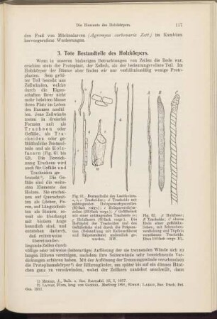 3. Tote Bestandteile des Holzkörpers.