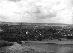 Amberg. Stadtansicht mit Stadtkirche Sankt Martin. Blick vom Mariahilf-Berg nach Südwesten
