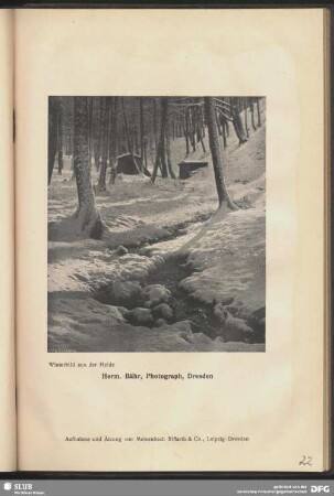 Winterbild aus der Heide