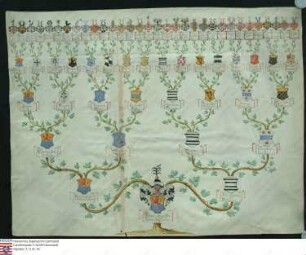 Ahnenprobe des Johann Adolph v. Carben zu Staaden. - ausgefertigt 1670 Juli 19/29 Burgmann, Pergament