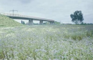 Überführung Gem.-Str. über A 7 (km 292+486) Nieders.
