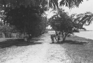 Wegputzer vor dem Rasthaus Kilwa : Landschaft mit Gewässer, Bäumen und einem Weg auf dem drei Männer kehren