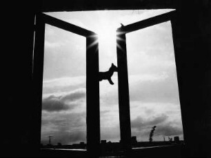Fensterblick