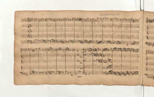 [Anonymus]: [Ouverture im französischen Stil]; C-Dur; [5 Instrumente]
