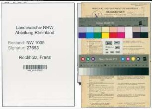 Entnazifizierung Franz Rochholz , geb. 08.06.1886 (Bergmann)
