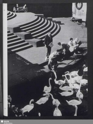 Für den Kunsterzieher Alfred Lichtwark war die Alstertreppe am Rathausmarkt "die schönste Wassertreppe"