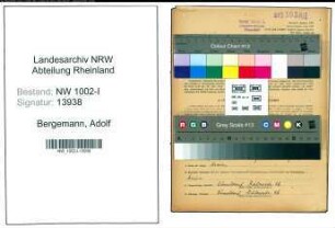 Entnazifizierung Adolf Bergemann, geb. 22.01.1898 (Abt.Leiter)