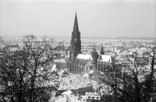 Freiburg: Blick vom Schlossberg auf Münster und Stadt