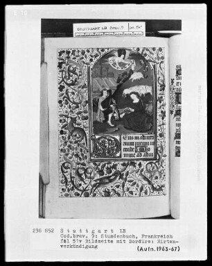 Lateinisch-französisches Stundenbuch (Livre d'heures) — Verkündigung an die Hirten im Bordürenrahmen, Folio 51verso