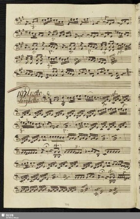 197. Duetto: Rosinella amato bene / Guglielmi, P. A.