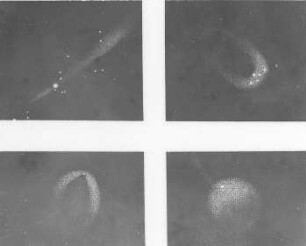 Veränderungen des Enckeschen Kometen, 1828/1871, sowie des Kometen von 1823 : Technikgeschichte | Astronomie | Kometen | Kometen