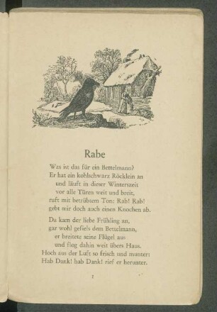 Rabe