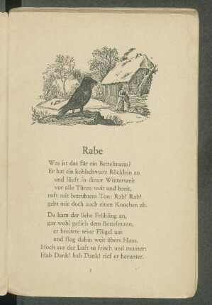 Rabe