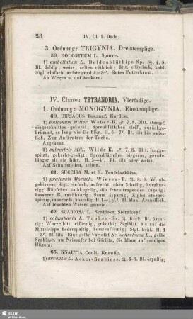 IV. Classe : Tetrandria. Vierfadige