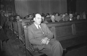 Totschlags-Affäre des Friedrich Waidelich aus Büchenbronn.