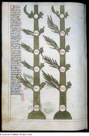 Illustration mit Text, Blatt 89v