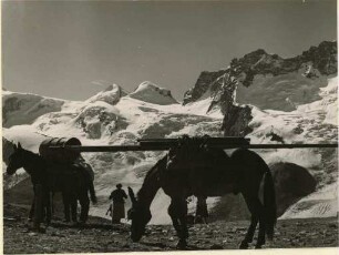 In den Walliser Alpen