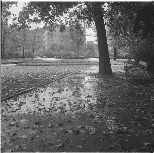 Parkanlage nach dem Regen (Serie "Herbst")