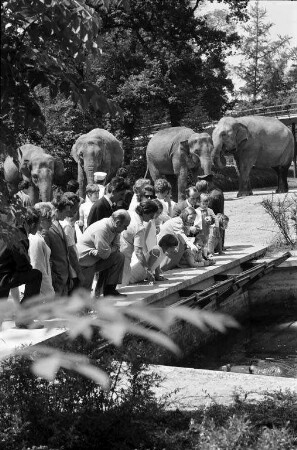 Besuch bei den Nilpferden und Elefanten im Karlsruher Zoo