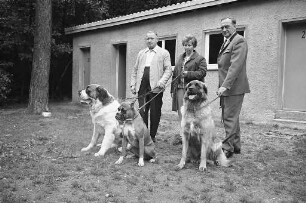 Bundessieger des Vereins der Hundefreunde Karlsruhe bei der Bundessieger-Zuchtschau 1968 in Frankfurt.