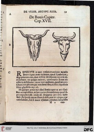 De Bouis Capite. Cap. XVII