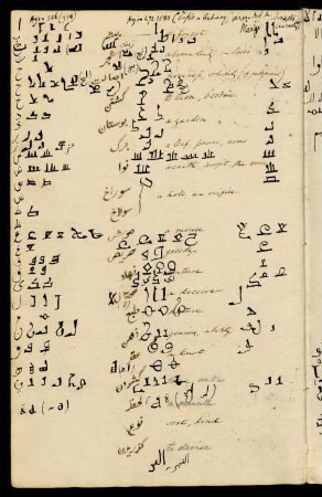 15v-16r, Foliated Kufic script practice, Arabic glossary