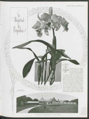 Su majestad la Orquídea : [con fotografías]