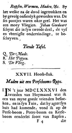 XXVII. Hooft-stuk. Maden uit een Persebooms-Rups