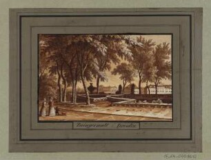 Ansicht vom Zwingerwall, Radierung, 1840 : Zwingerwall z. Dresden, [ca. 1840]. - 1 Kunstblatt : Radierung sepia laviert; 10,3 x 6,5 cm
