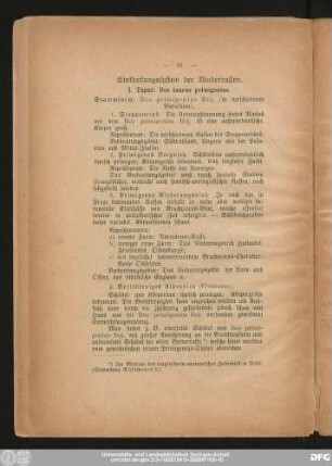 Eintheilungssystem der Rinderrassen.
