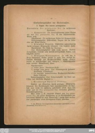 Eintheilungssystem der Rinderrassen.
