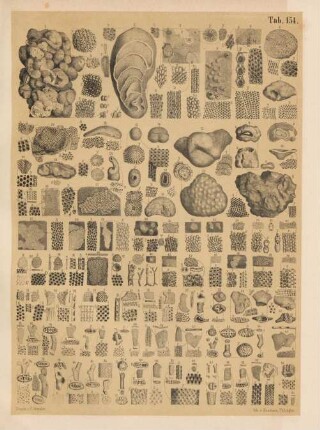 Tab. 154