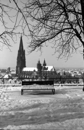 Freiburg: Blick vom Schlossberg (Kanonenplatz) aufs Münster