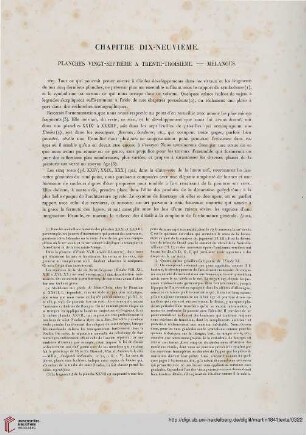 Chapitre dix-neuvième