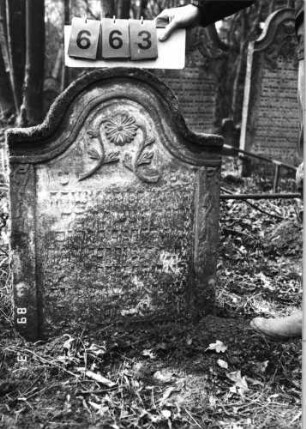 Grabstein 663 (Index: 99752432) Material: Sandstein Zustand: verwittert/Textverlust/Stele eingesunken Maße HxBxT: 87x63x10 cm Beschreibung: Stele, Konvexbogenabschluß, Schriftfeld eingetieft Symbolik: Blume, Ranken: Grabstein 663