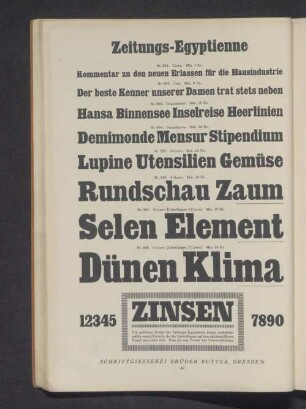 Zeitungs-Egyptienne