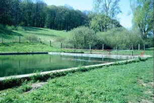 ehemaliges Schwimmbad, oberhalb des Teiches gelegen