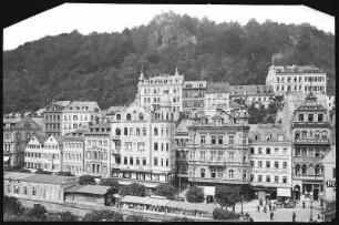 Karlsbad. Alte Wiese mit Hirschensprung