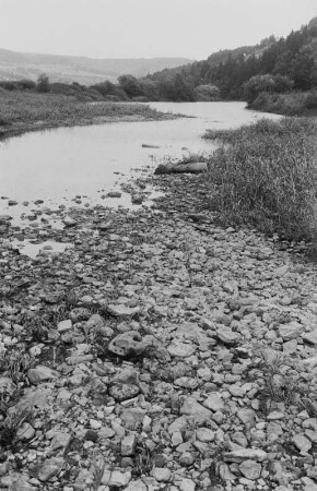 Donauversickerung : Die Donau unterhalb der Versickerungsstellen