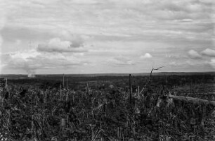 Landschaft : Landschaft bei Londrina.