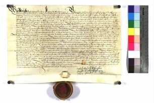 Graf Ulrich zu Helfenstein, Freiherr zu Gundelfingen, verkauft seinen Untertanen zu Deggingen, Ulrich Mayer eine Behausung, die vorher zu Unser Frauen Pfründe gehört hat, samt Garten dahinter zu Deggingen um 100 Gulden.