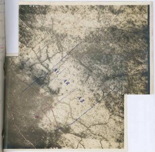 Foto des Chaume-Waldes bei Ornes (Luftbild)