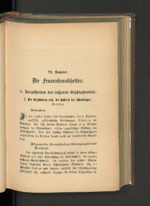 VI. Kapitel. Die Frauenkrankheiten.