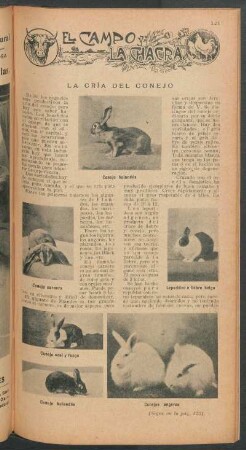 La cría del conejo : El campo y la chacra