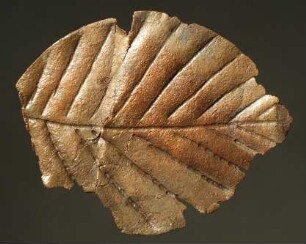 Blatt aus Blech