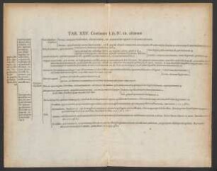 Tab. XXV. Continens Lib. IV. tit. ultimum