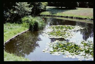 Tiergarten 18.7.64.